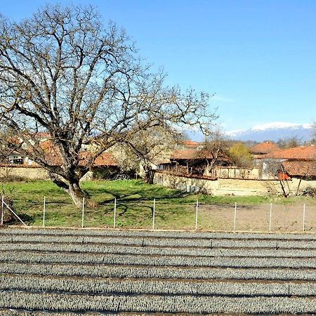 Vila V S. Gabarevo, Dolinata Na Rozite. Βίλα Εξωτερικό φωτογραφία