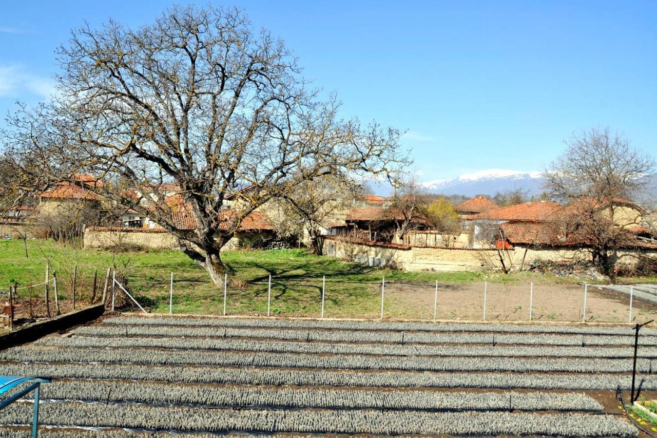 Vila V S. Gabarevo, Dolinata Na Rozite. Βίλα Εξωτερικό φωτογραφία